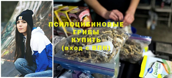 молекула духа Приозерск
