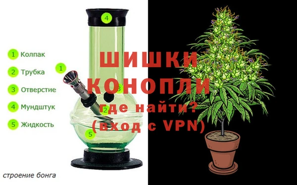молекула духа Приозерск