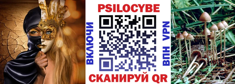 Галлюциногенные грибы Psilocybine cubensis  нарко площадка Telegram  Находка 
